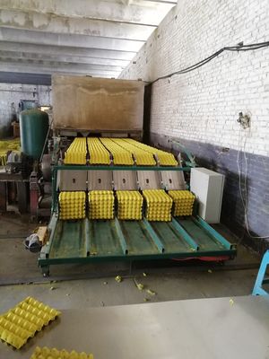 State-of-the-Art Egg Tray Machine for Sustainable Packaging Solutions
