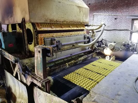 State-of-the-Art Egg Tray Machine for Sustainable Packaging Solutions